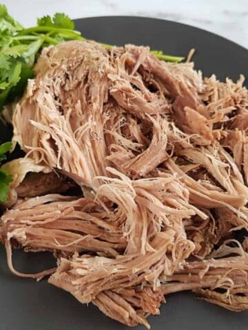 pulled pork on a plate.