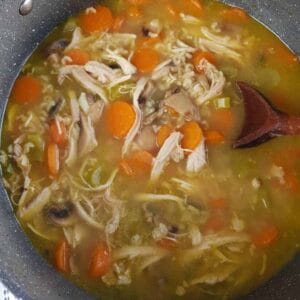 chicken and rice soup with carrots and mushrooms.