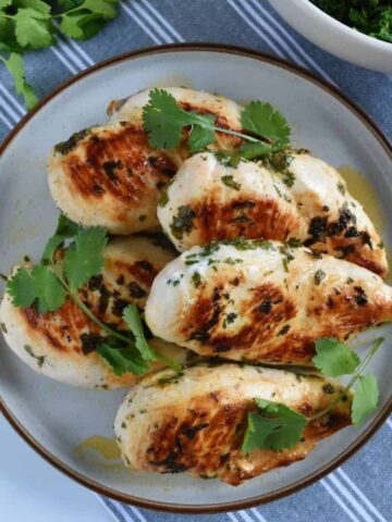 Cilantro lime chicken on a plate.