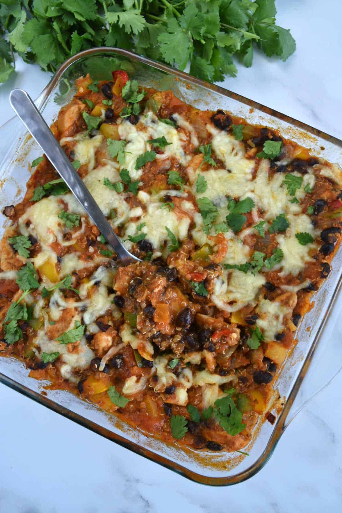 Mexican quinoa casserole with cilantro in the background. One spoon has lifted out a serving.