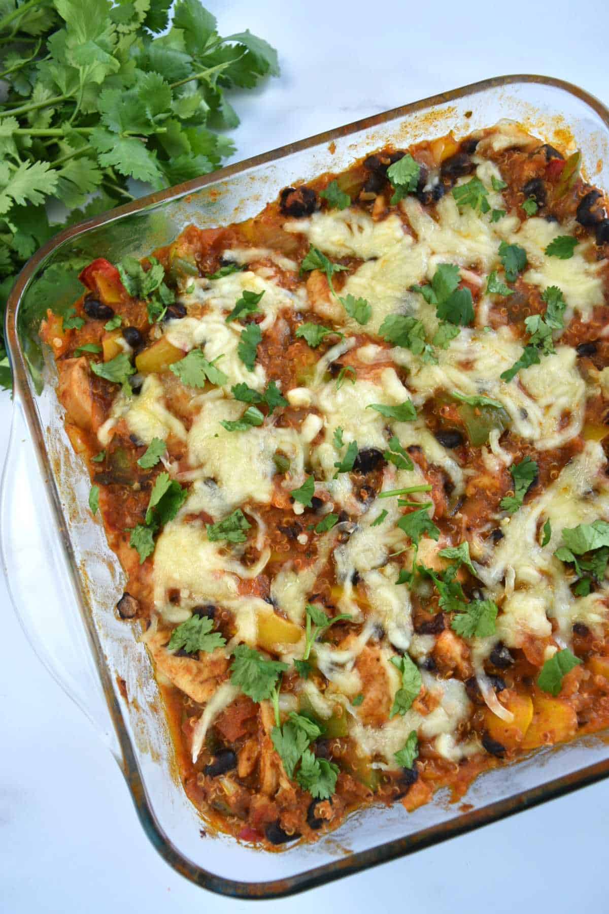 Mexican casserole in a baking dish with fresh cilantro on the side.