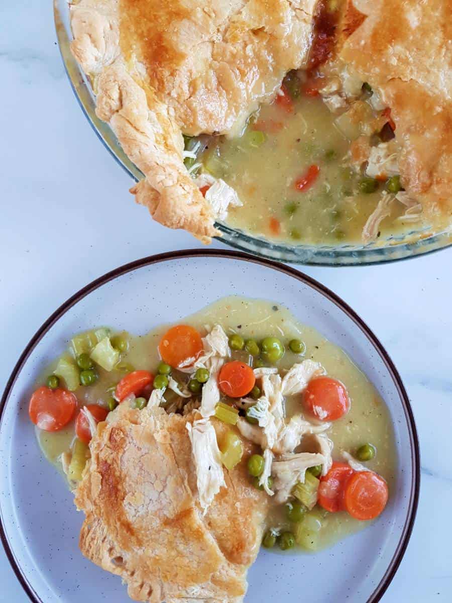 https://www.hintofhealthy.com/wp-content/uploads/2020/04/Dairy-free-chicken-pot-pie.jpg