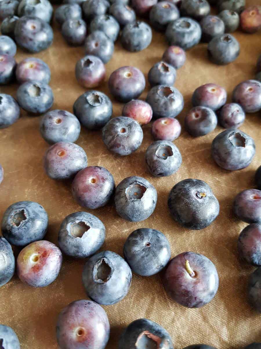 Blueberries on baking sheet.