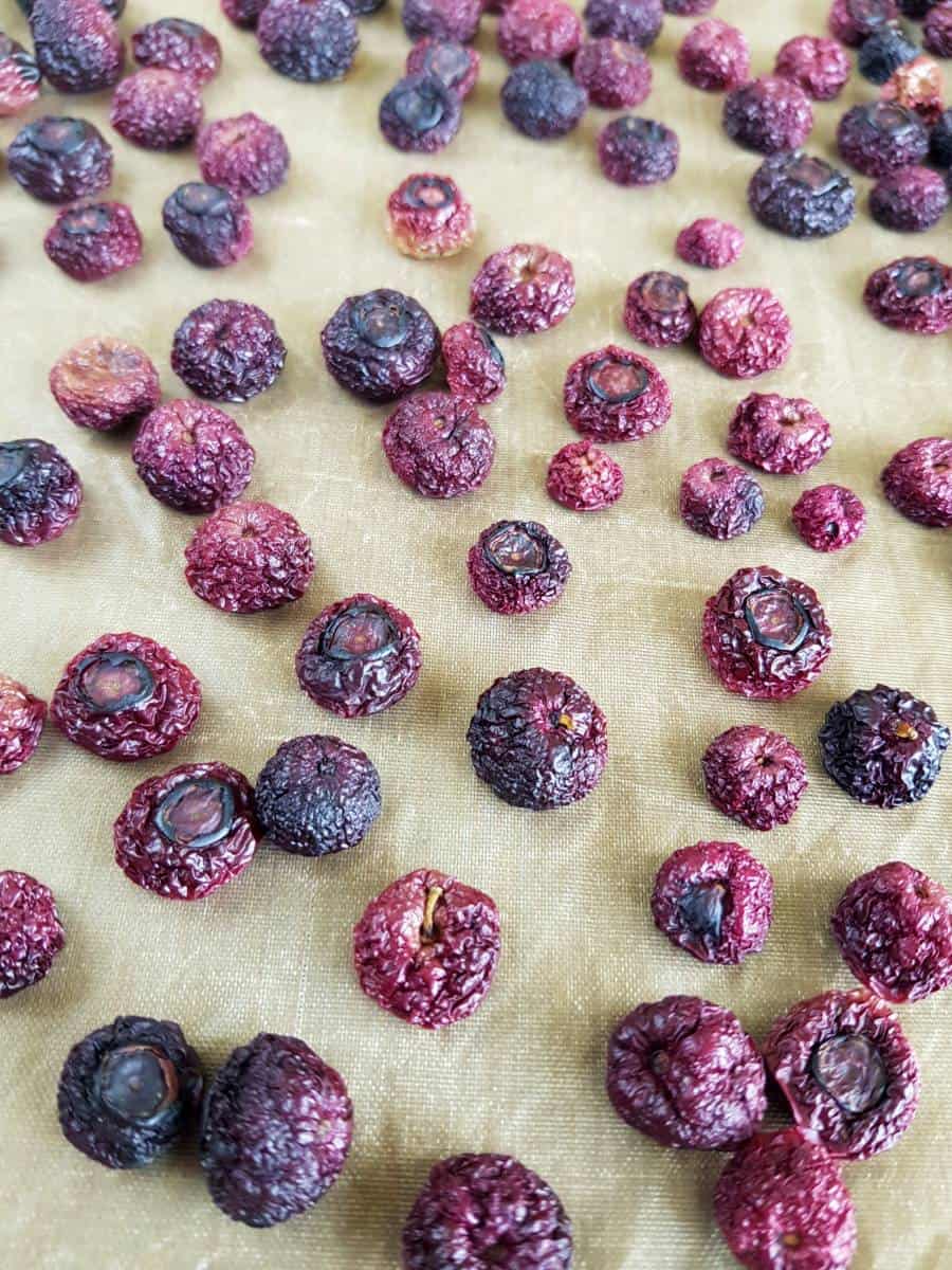 Dried blueberries on baking sheet.