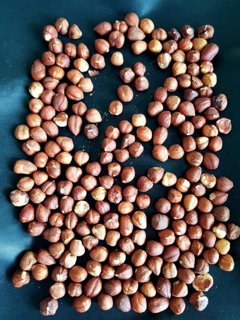 Hazelnuts on baking sheet.