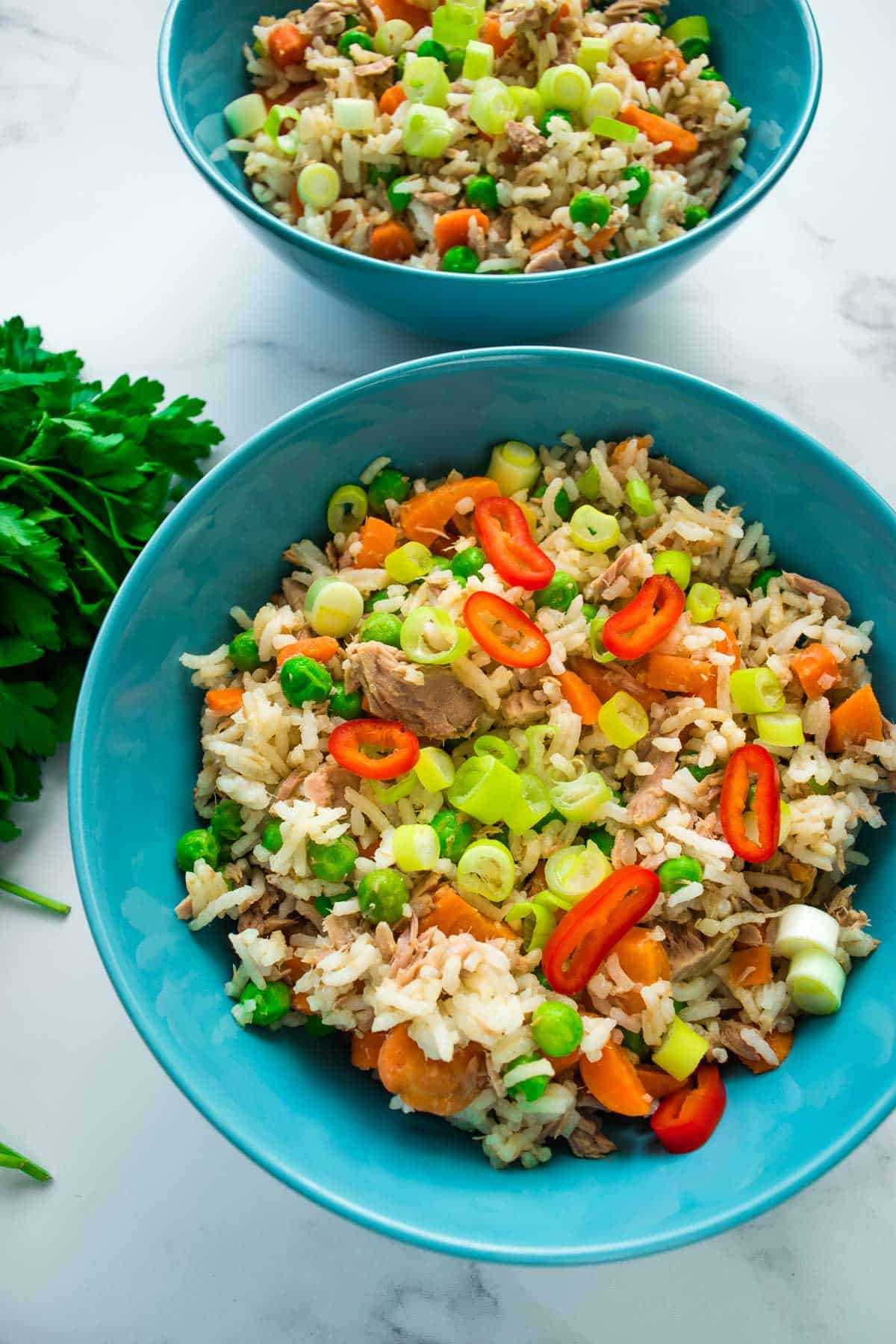 Close up of a bowl with tuna fried rice.