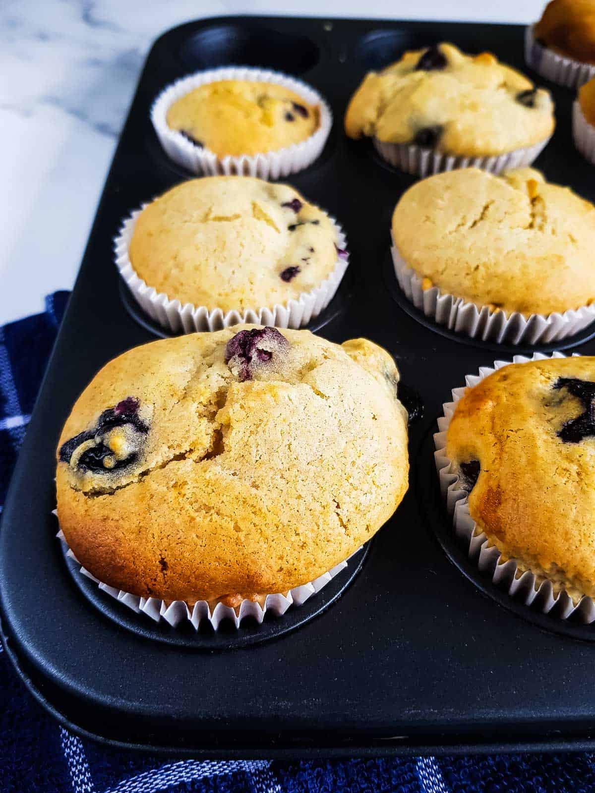 Healthy lemon blueberry muffins in a muffin pan.