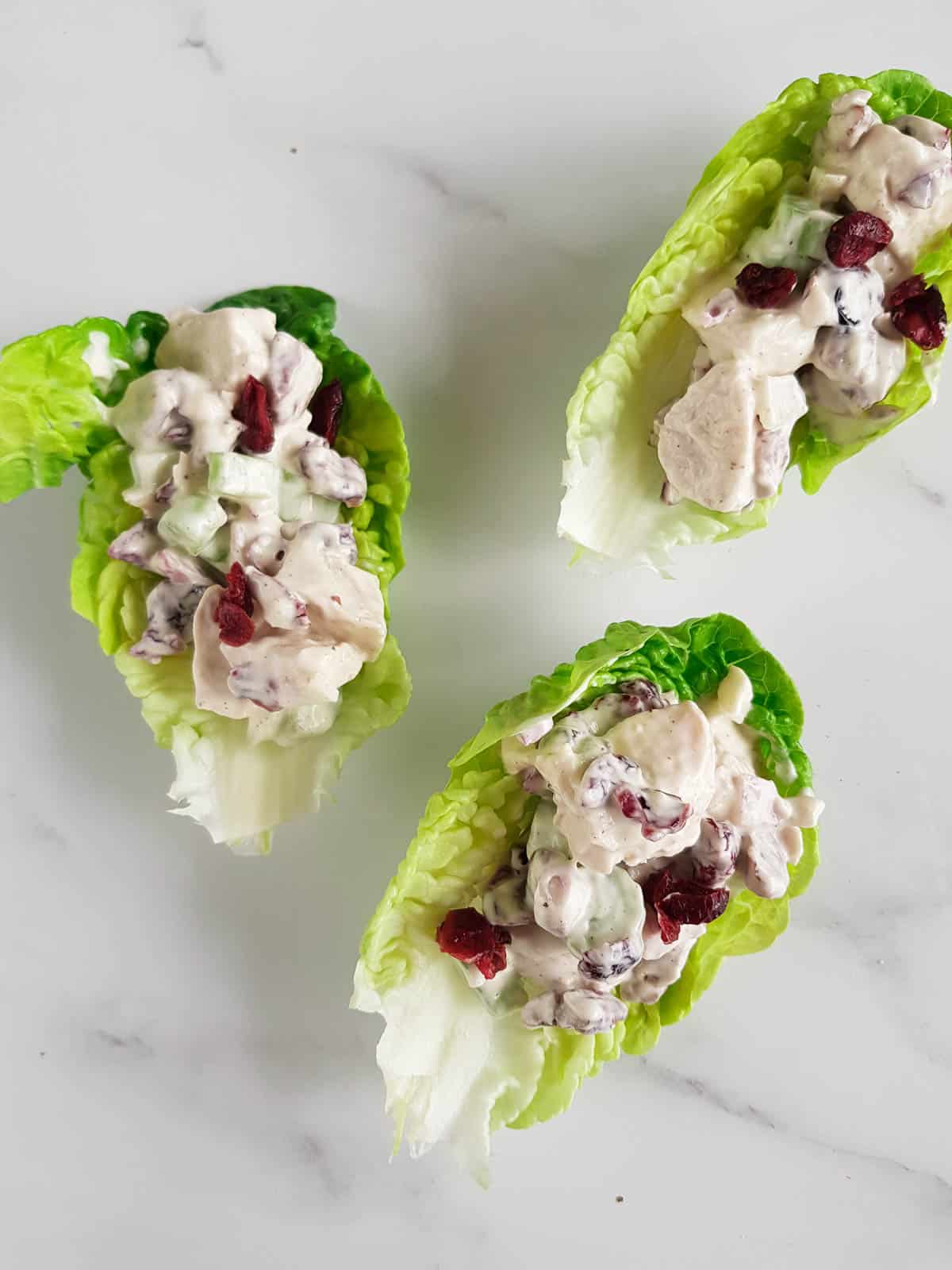 Lettuce wraps with cranberry chicken salad.