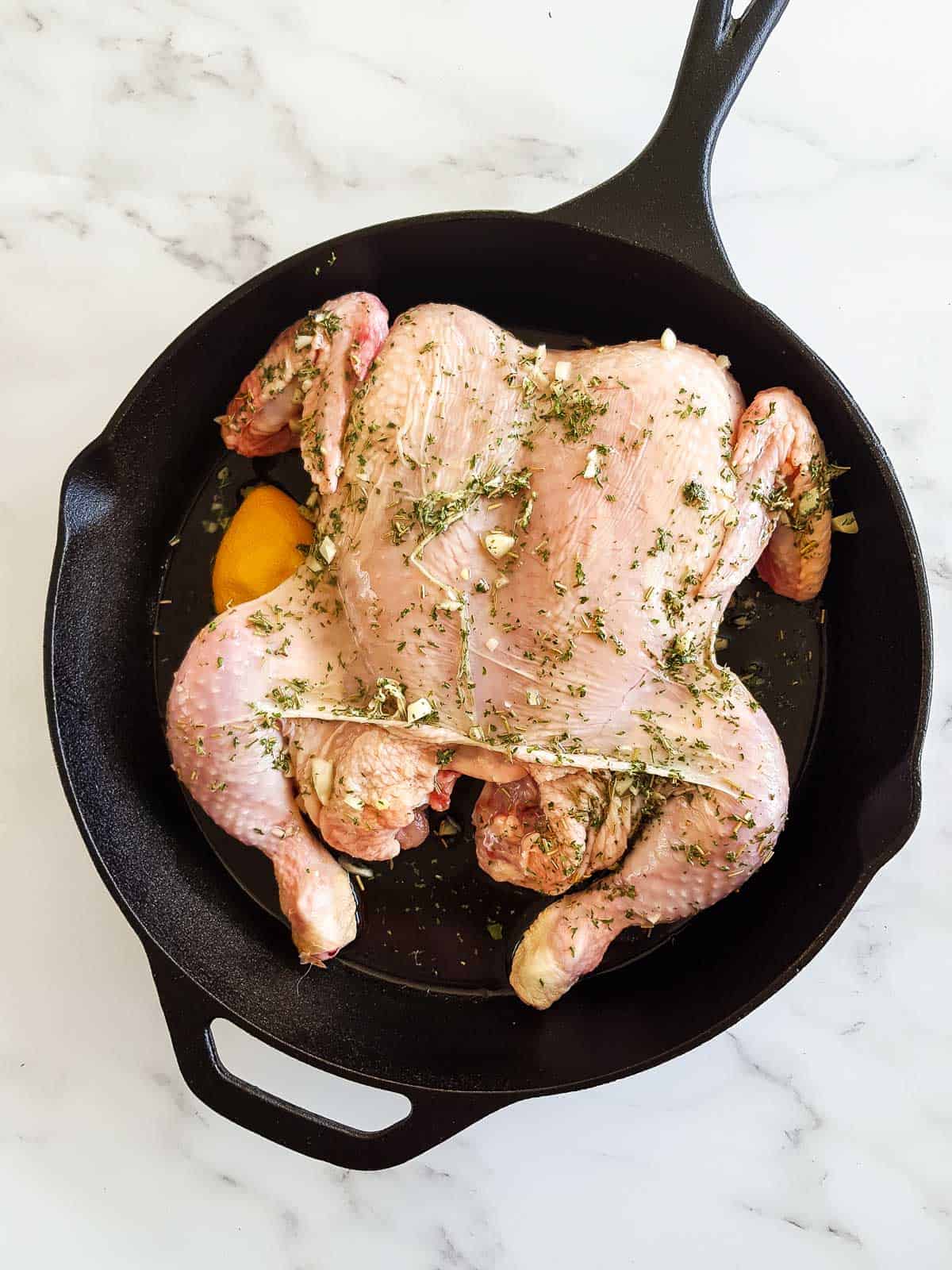 Marinated uncooked chicken in a cast iron skillet.