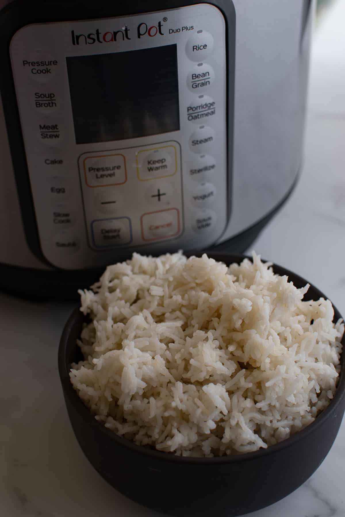 Rice with an instant pot in the background.