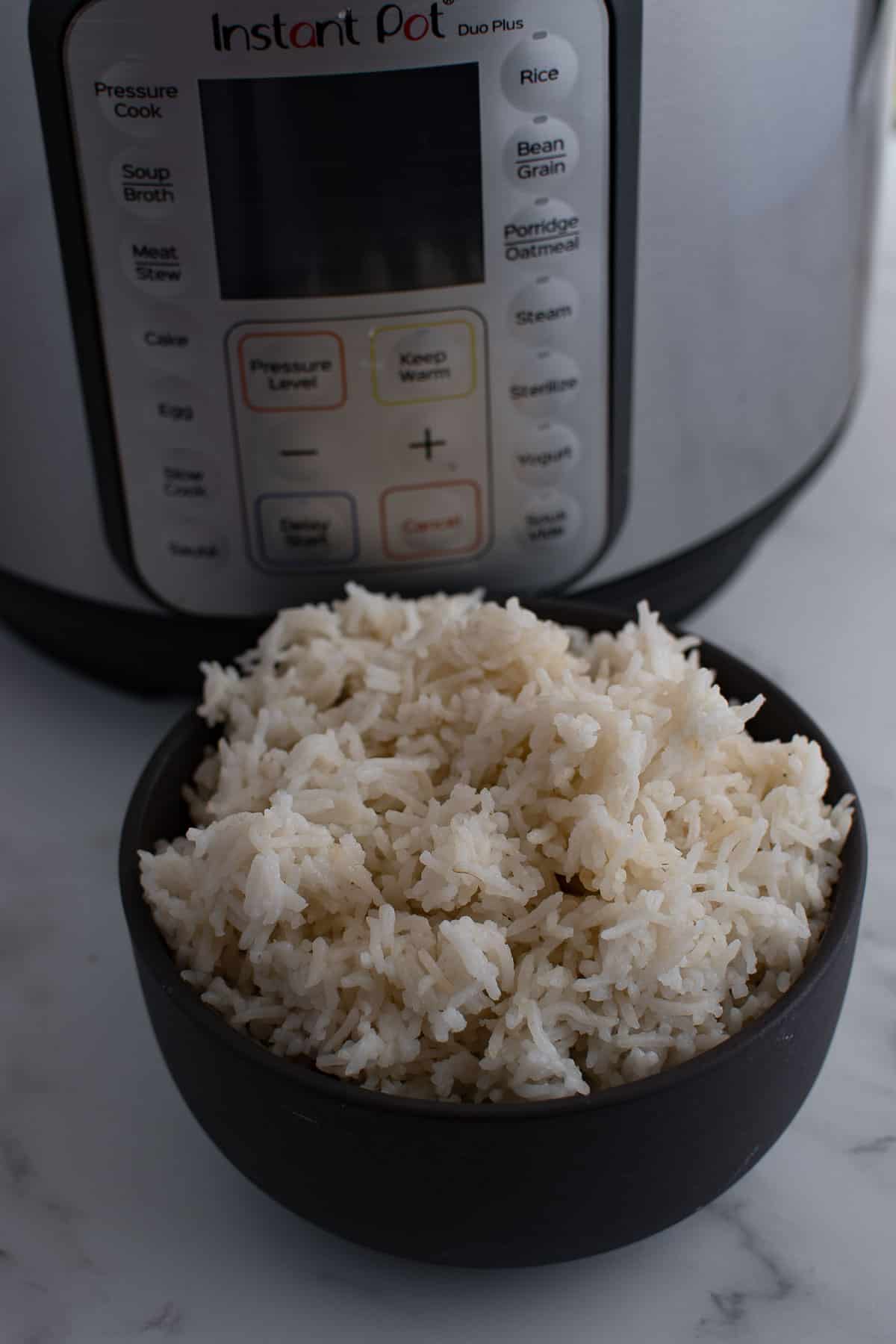 A bowl of rice in front of an instant pot.