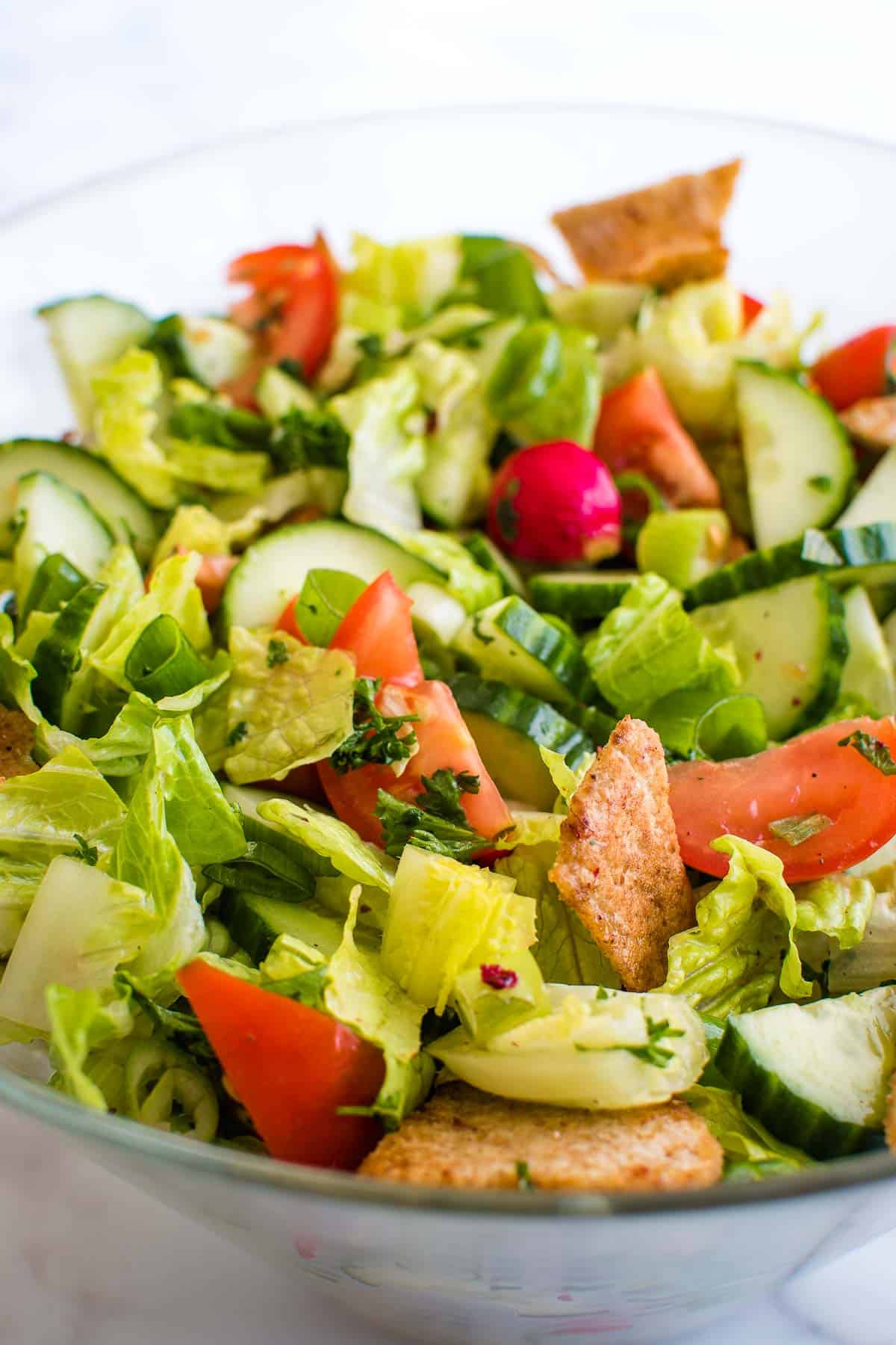 Close up showing mixed Lebanese Fattoush salad.