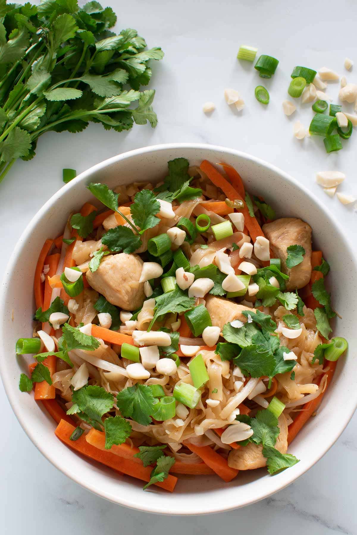 Close up of a bowl of pad thai with cilantro, scallions and peanuts on top.