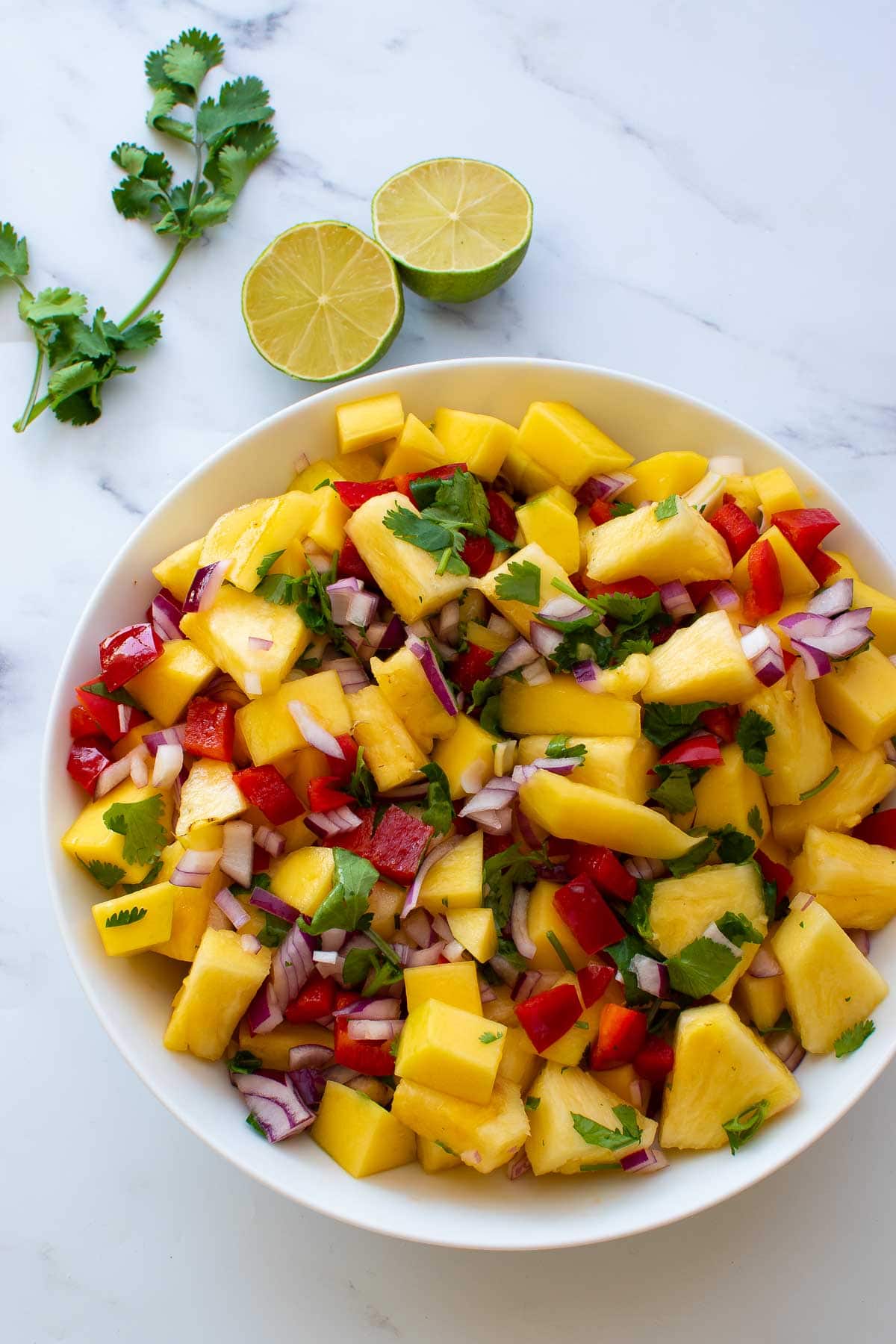 Salsa with cilantro, mango and pineapple.