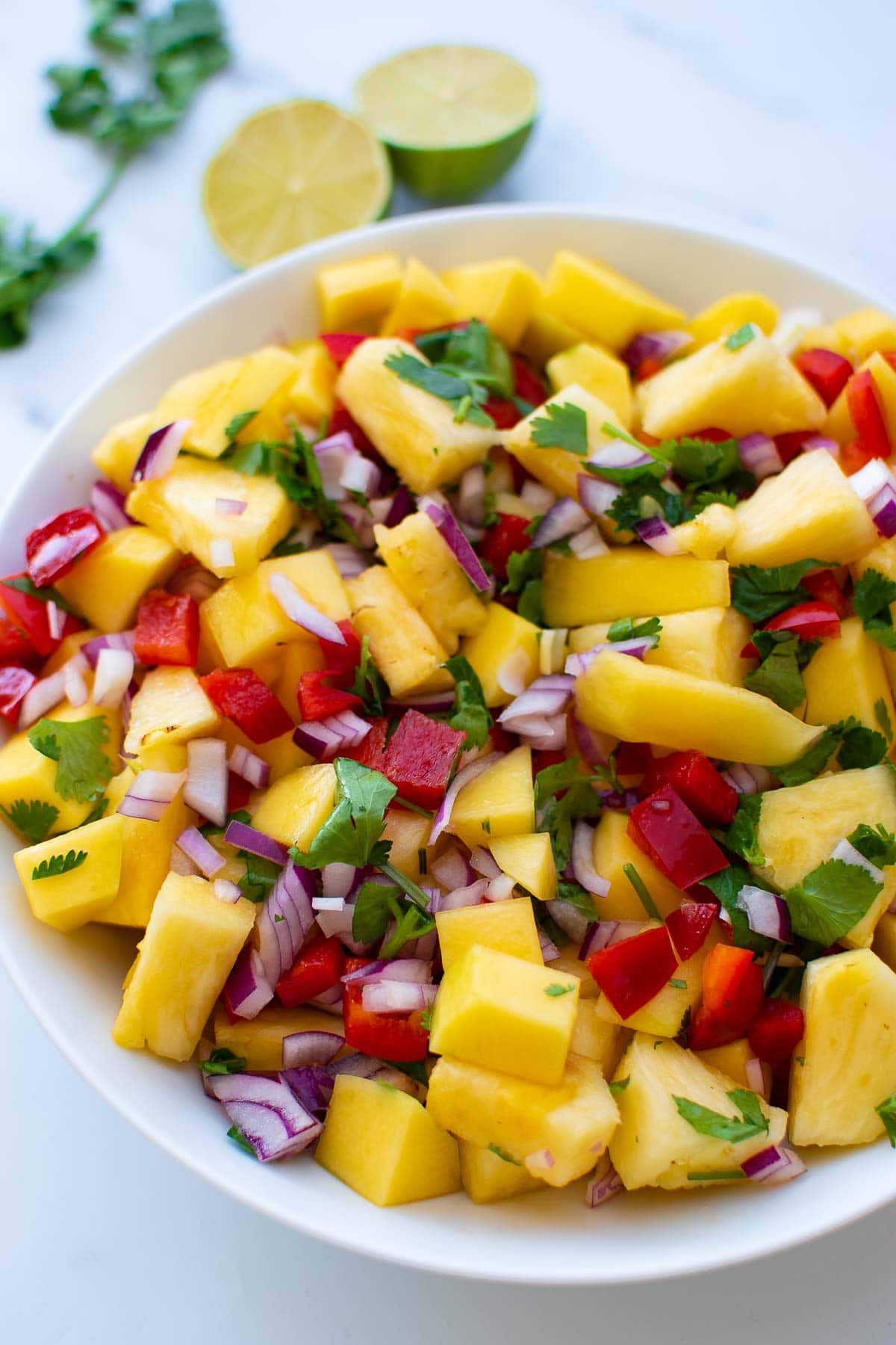 Colorful bowl of mixed fruit salsa.