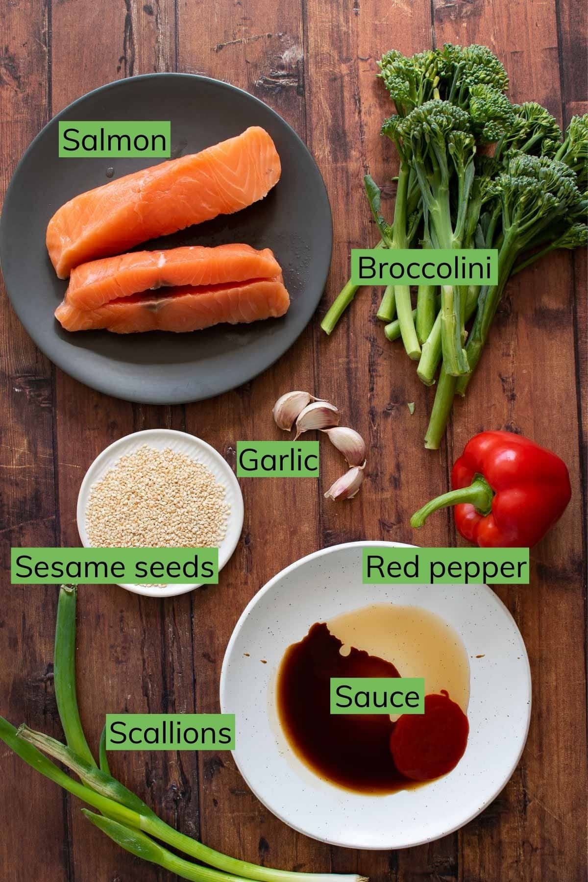 Ingredients to make a salmon stir fry.