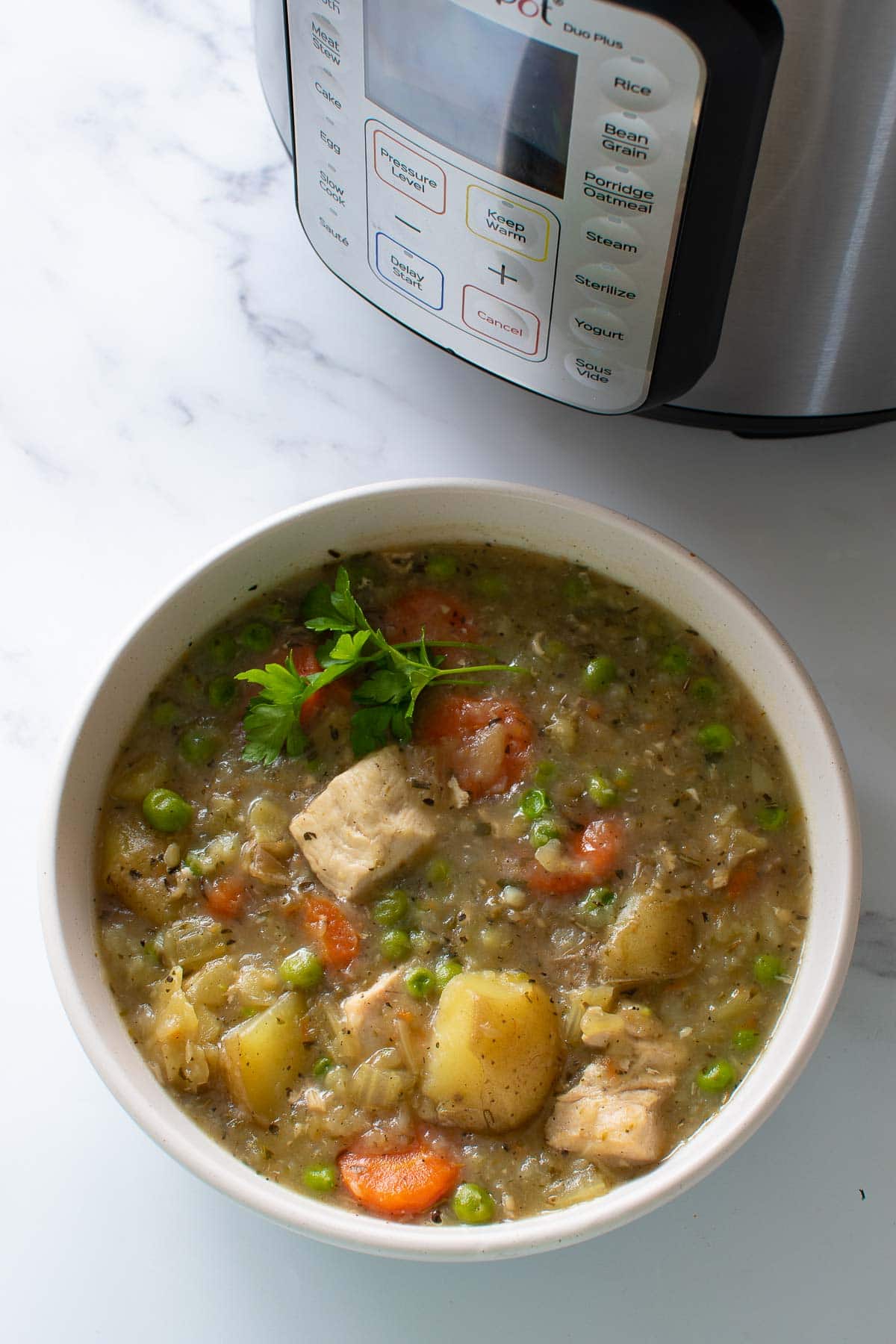 A bowl of pressure cooked chicken stew.