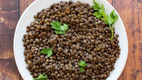 Instant pot sales french green lentils