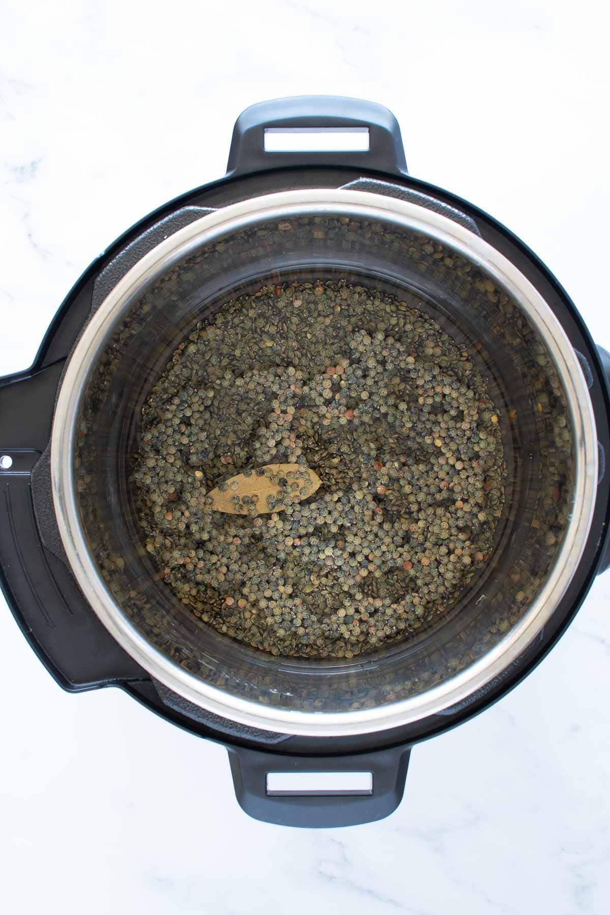 Dry green lentils in a pressure cooker.