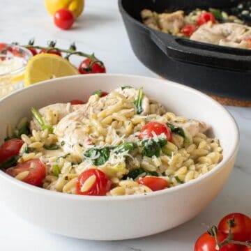 A bowl of lemon chicken with orzo.