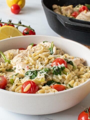 A bowl of lemon chicken with orzo.