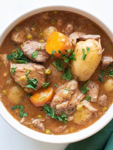 A bowl of pork stew with carrots and potatoes.