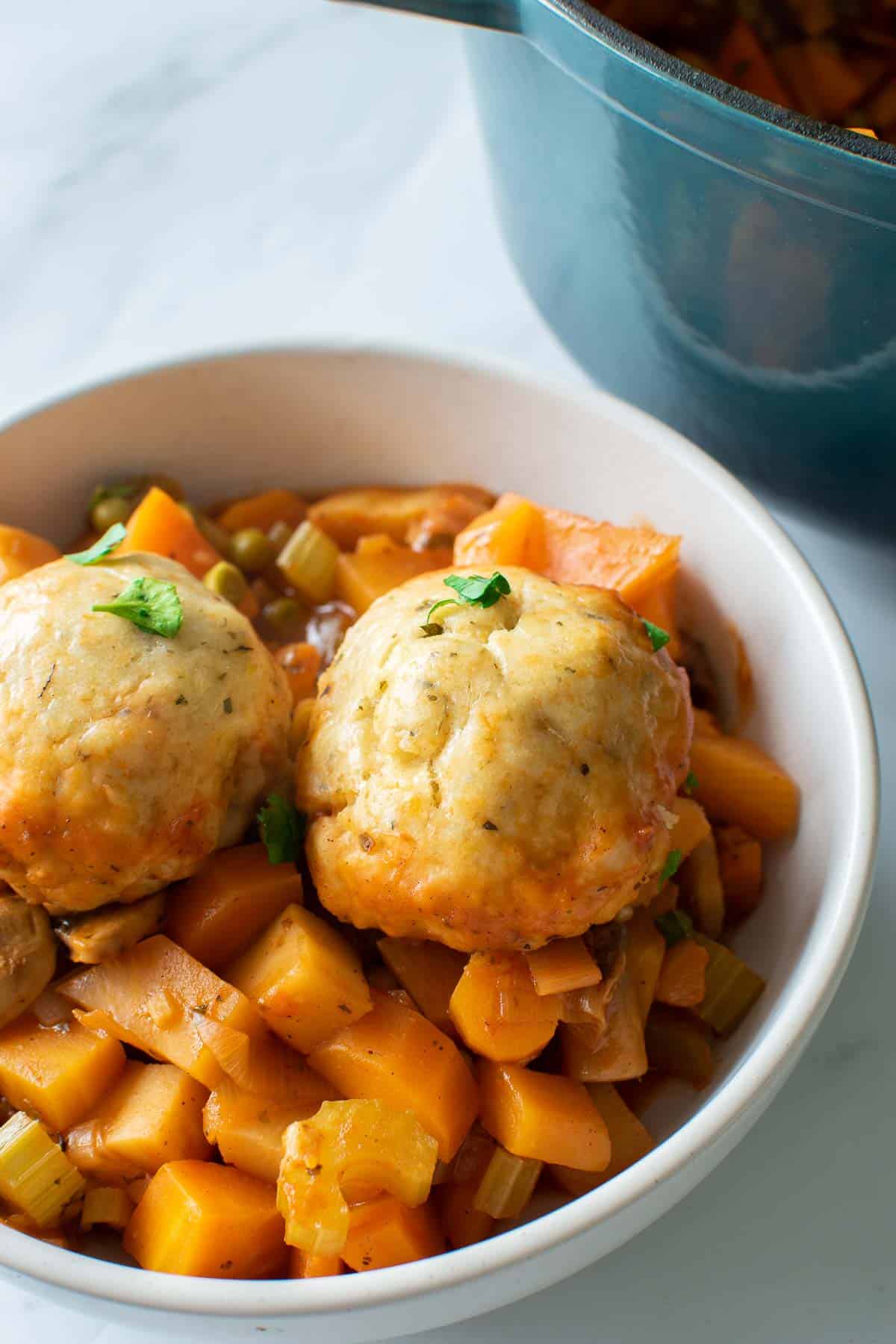 A bowl with vegetable stew and dumplings.