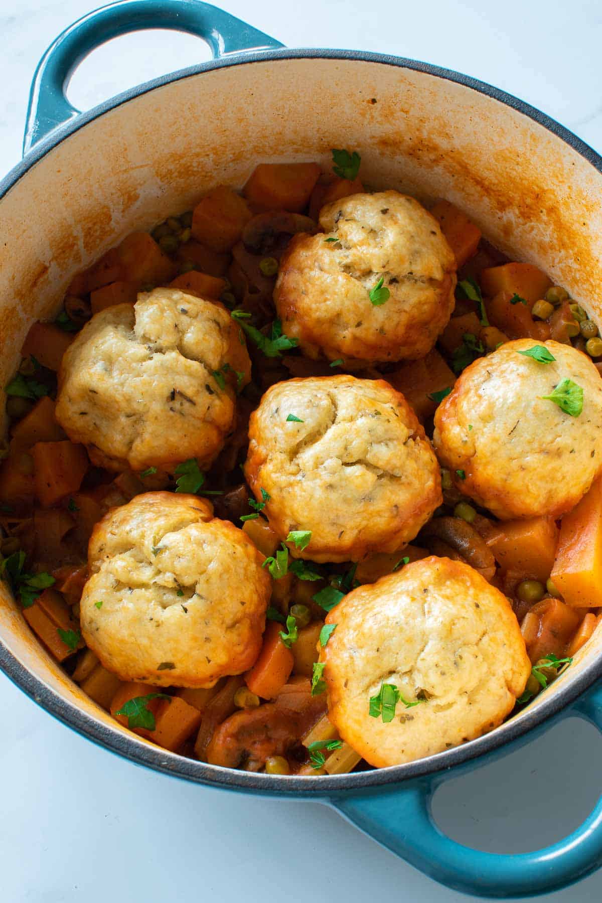 Vegetable stew with dumplings.