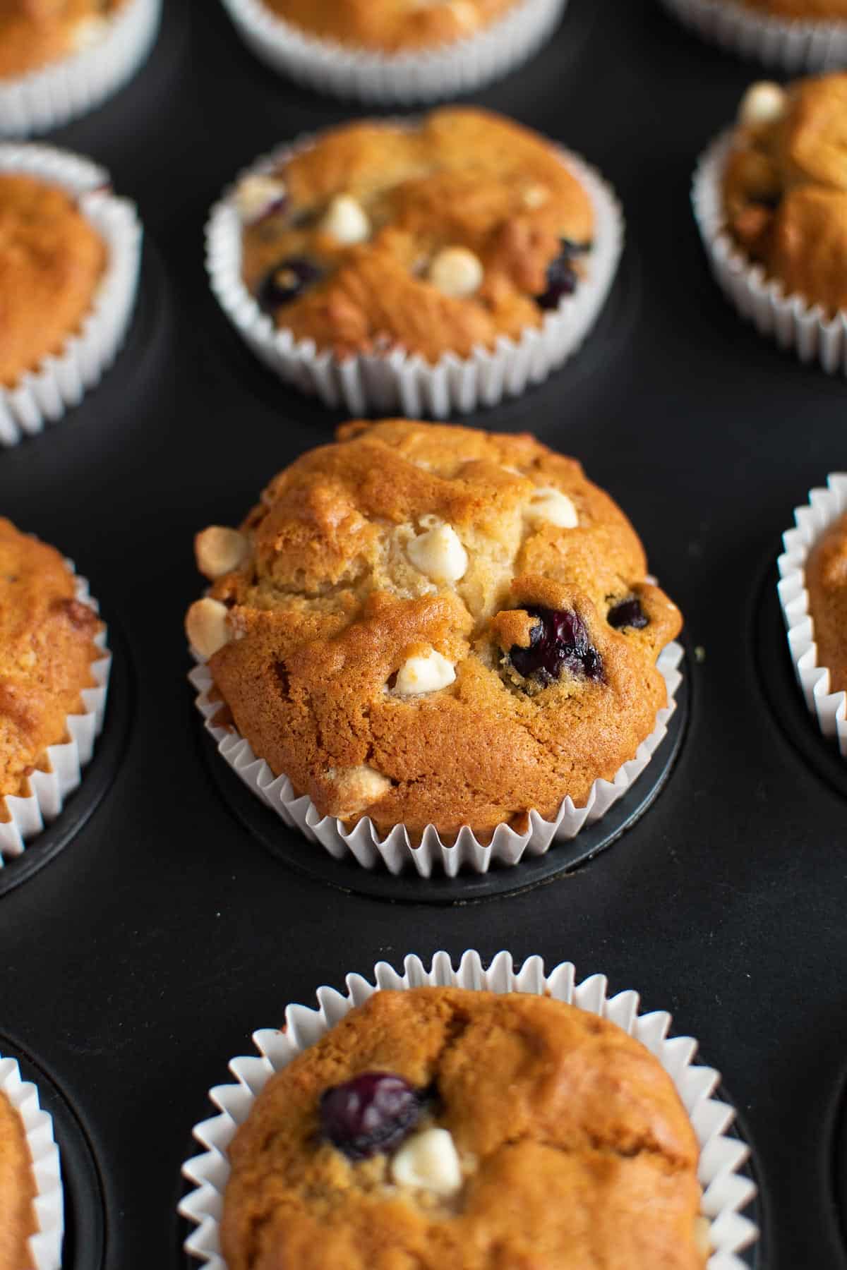 Close up of a white chocolate blueberry muffin in a muffin pan.