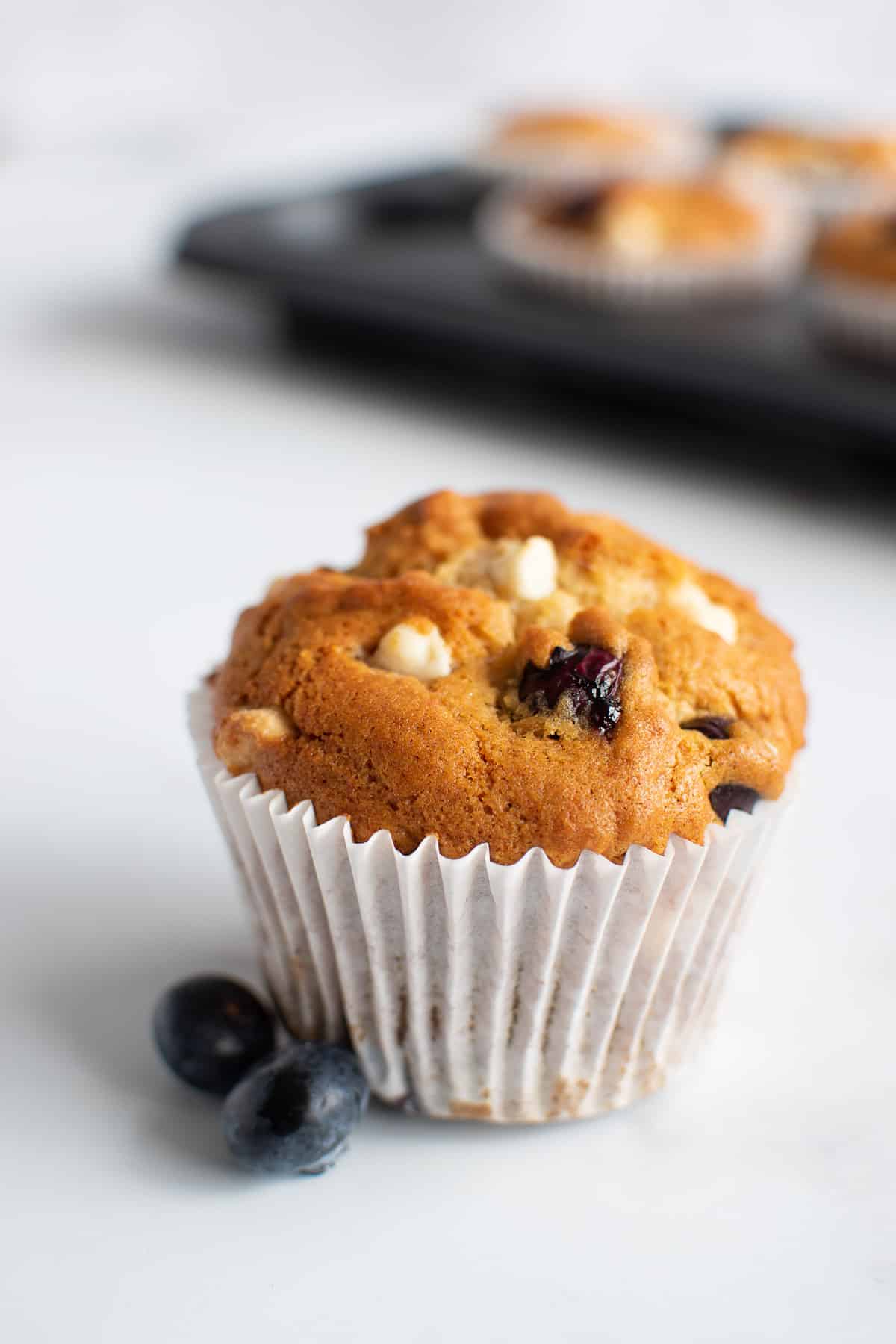 Close up of a muffin with white chocolate chips and blueberries.