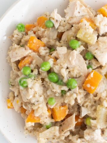 Crockpot chicken and rice with vegetables on a plate.