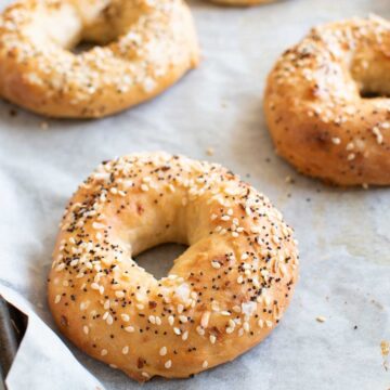 Close up of homemade everything bagels.